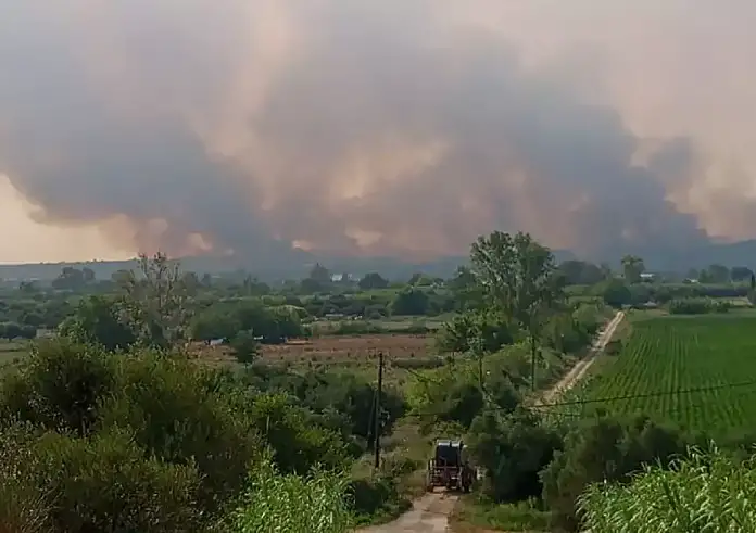 Σε εξέλιξη οι μεγάλες φωτιές σε Ηλεία, Αχαΐα, Μεγαλόπολη και Κρανίδι – Συνεχής ενίσχυση των πυροσβεστικών δυνάμεων