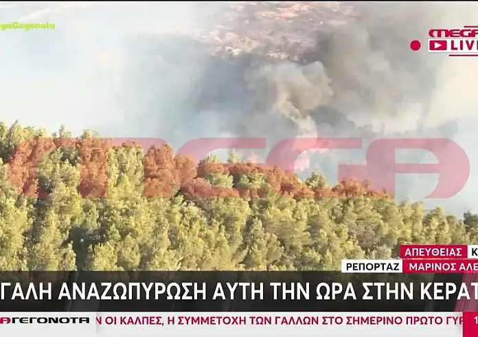 Φωτιά στην Κερατέα: Αναζωπύρωση στη Συντερίνα, καίγεται πευκοδάσος