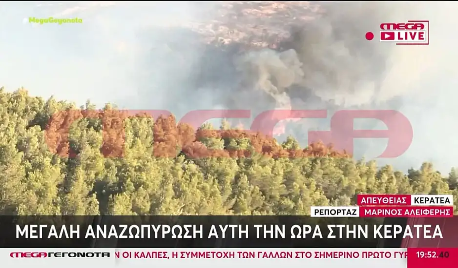 Φωτιά στην Κερατέα: Αναζωπύρωση στη Συντερίνα, καίγεται πευκοδάσος