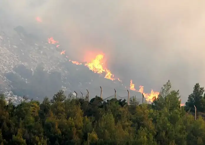 Έκτακτα μέτρα στήριξης και προστασίας του Δήμου Κηφισιάς λόγω φωτιάς