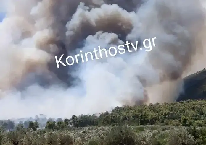 Φωτιά στο Σοφικό Κορινθίας: Ενισχύθηκαν οι δυνάμεις – Στο νοσοκομείο τρεις πυροσβέστες