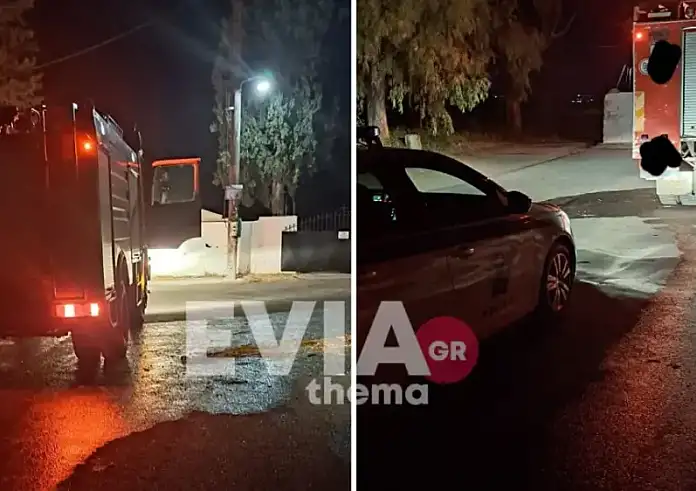 Κτηνωδία στη Χαλκίδα: Πέταξαν σκύλο σε κάδο σκουπιδιών και τον έκαψαν
