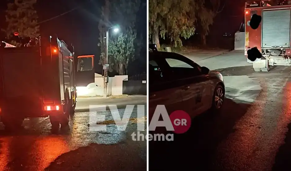 Κτηνωδία στη Χαλκίδα: Πέταξαν σκύλο σε κάδο σκουπιδιών και τον έκαψαν