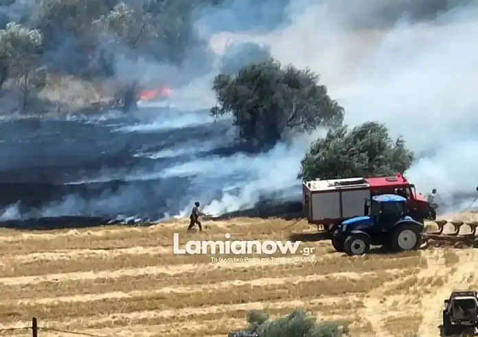 Φθιώτιδα: Φωτιά στην περιοχή της Ελάτειας – Σηκώθηκαν και αεροσκάφη