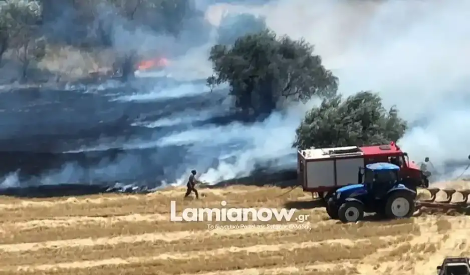 Φθιώτιδα: Φωτιά στην περιοχή της Ελάτειας – Σηκώθηκαν και αεροσκάφη