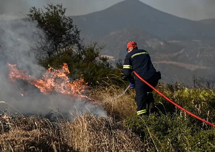 Φωτιά στους Μολάους Λακωνίας - Σηκώθηκαν και εναέρια μέσα