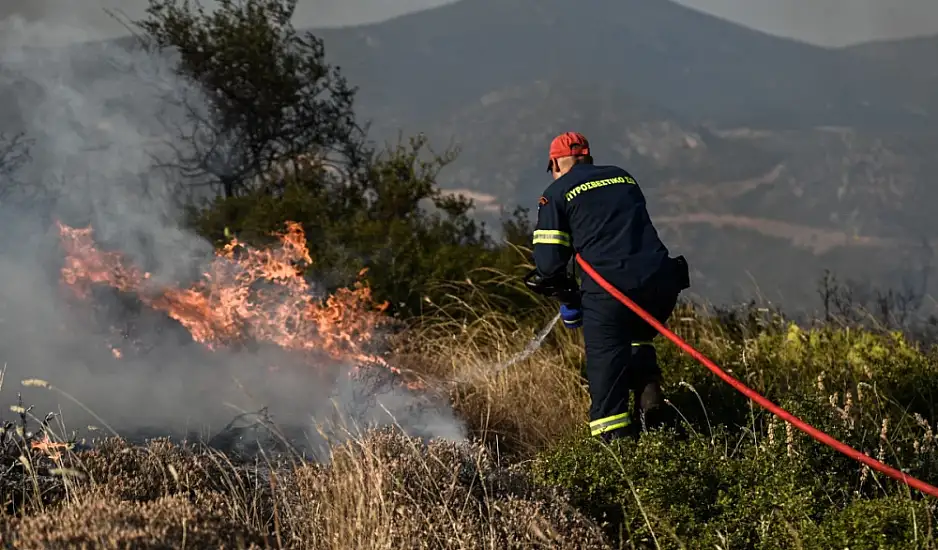 Φωτιά στους Μολάους Λακωνίας - Σηκώθηκαν και εναέρια μέσα
