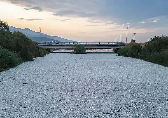 Υποχώρηση των υδάτων στη λίμνη Κάρλα: Εκατομμύρια νεκρά ψάρια επιπλέουν στην επιφάνεια