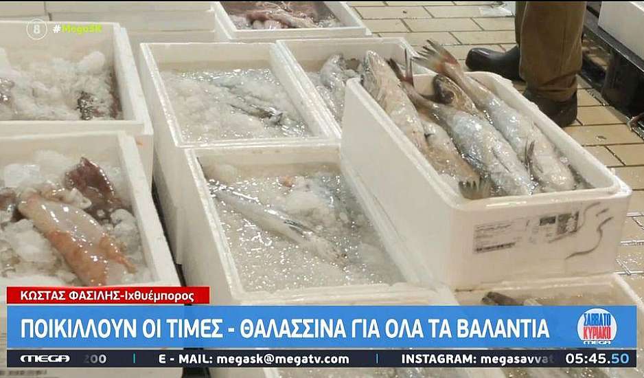 25η Μαρτίου: Σε τι επίπεδα κυμαίνεται η τιμή του βακαλάου