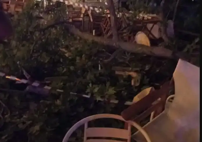 Πιερία: Έπεσε πλάτανος και καταπλάκωσε 44χρονη τουρίστρια
