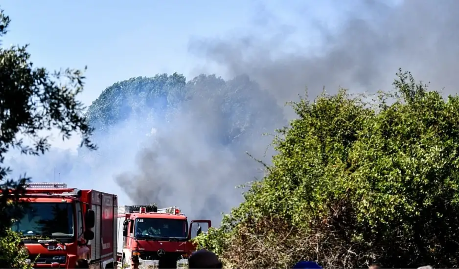 Φωτιά στο Καλαμίτσι Πρεβέζης: Μήνυμα από το 112 – Επιχειρούν και εναέρια μέσα