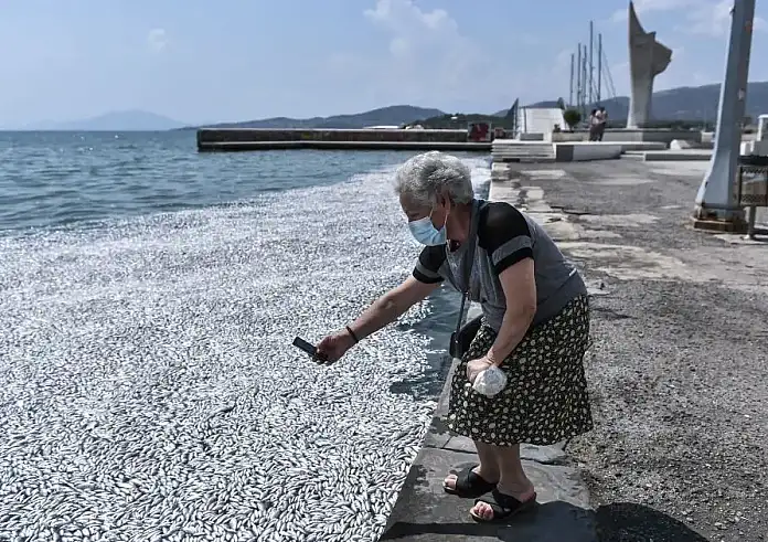Τσιάρας για νεκρά ψάρια στον Παγασητικό: Η εικόνα μάς δημιουργεί μεγάλη ανησυχία