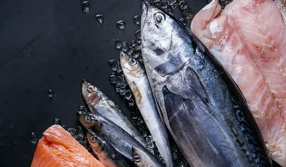 Οι λόγοι που πρέπει να αντικαταστήσουμε το κόκκινο κρέας με ψάρια