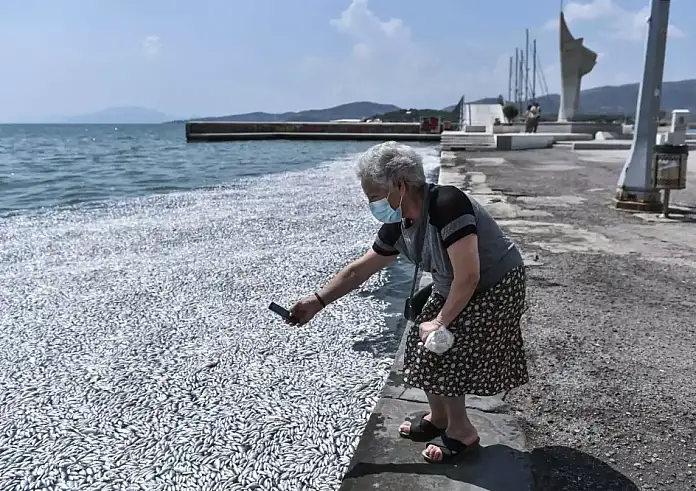 Νεκρά ψάρια στο Βόλο: Παρέμβαση Αρείου Πάγου – Ζητεί κατεπείγουσα έρευνα από την εισαγγελέα της πόλης
