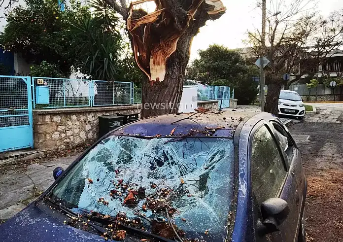Κακοκαιρία Αθήνα: Ισχυρό μπουρίνι έπληξε την πρωτεύουσα – Έπεσαν δέντρα σε Φιλοθέη και Ψυχικό