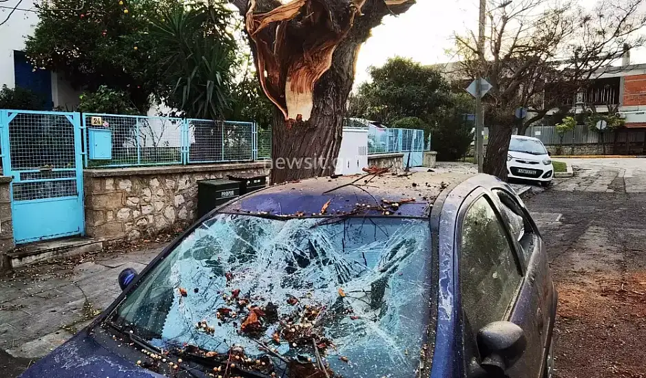 Κακοκαιρία Αθήνα: Ισχυρό μπουρίνι έπληξε την πρωτεύουσα – Έπεσαν δέντρα σε Φιλοθέη και Ψυχικό