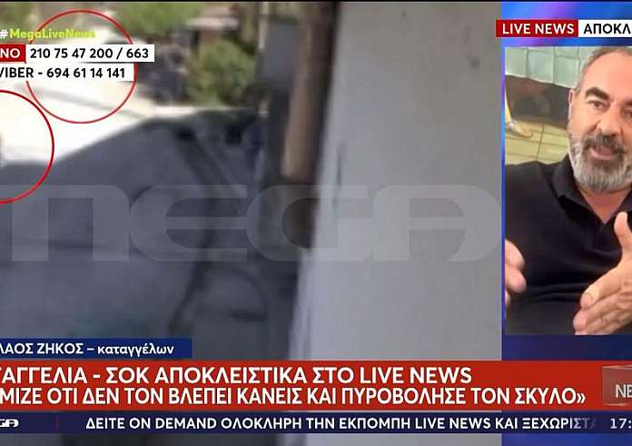 Πρέβεζα: Ένας άνδρας πυροβολεί εν ψυχρώ έναν σκύλο έξω από το σπίτι του