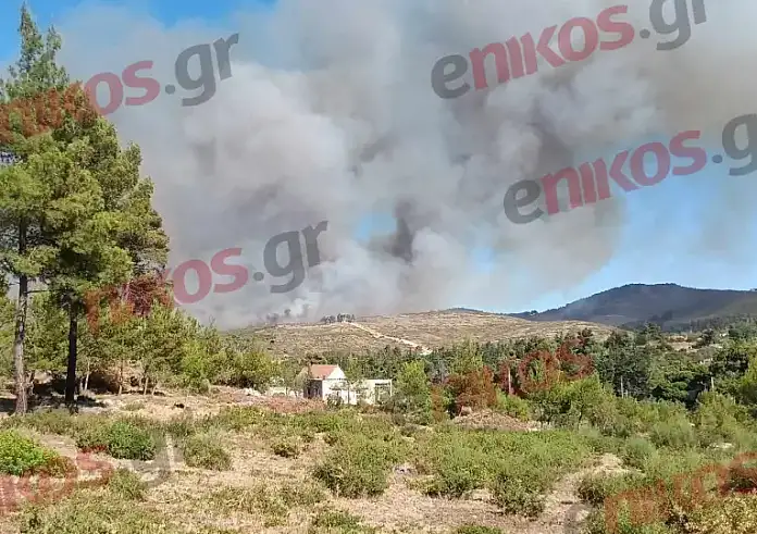 Βαθρακογιάννης: Εξαιρετικά επικίνδυνες οι πυρκαγιές σε Σταμάτα και Κερατέα – Η σημερινή ημέρα είναι η δυσκολότερη τη φετινή αντιπυρική περίοδο