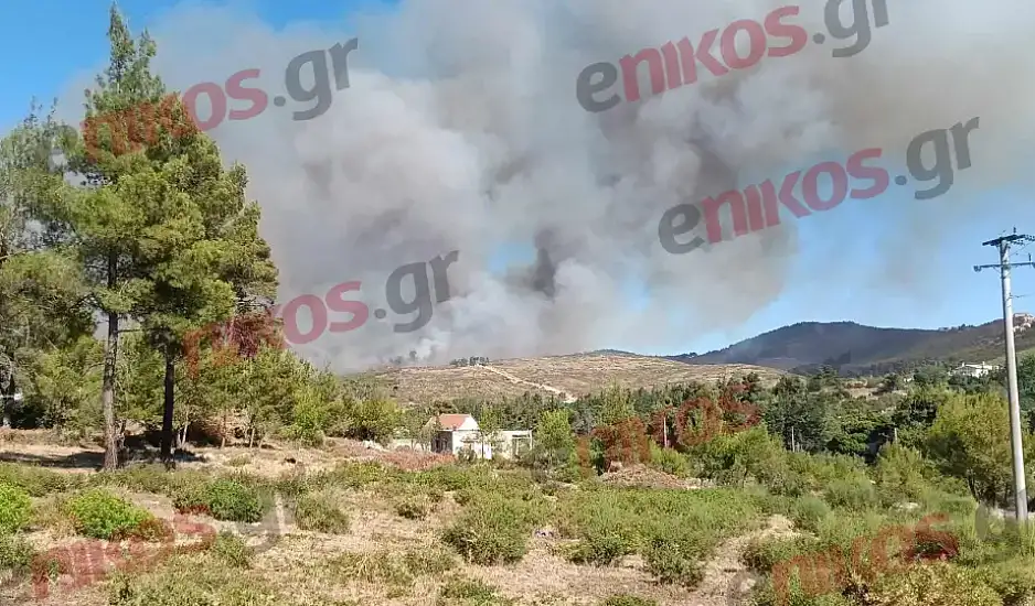 Βαθρακογιάννης: Εξαιρετικά επικίνδυνες οι πυρκαγιές σε Σταμάτα και Κερατέα – Η σημερινή ημέρα είναι η δυσκολότερη τη φετινή αντιπυρική περίοδο