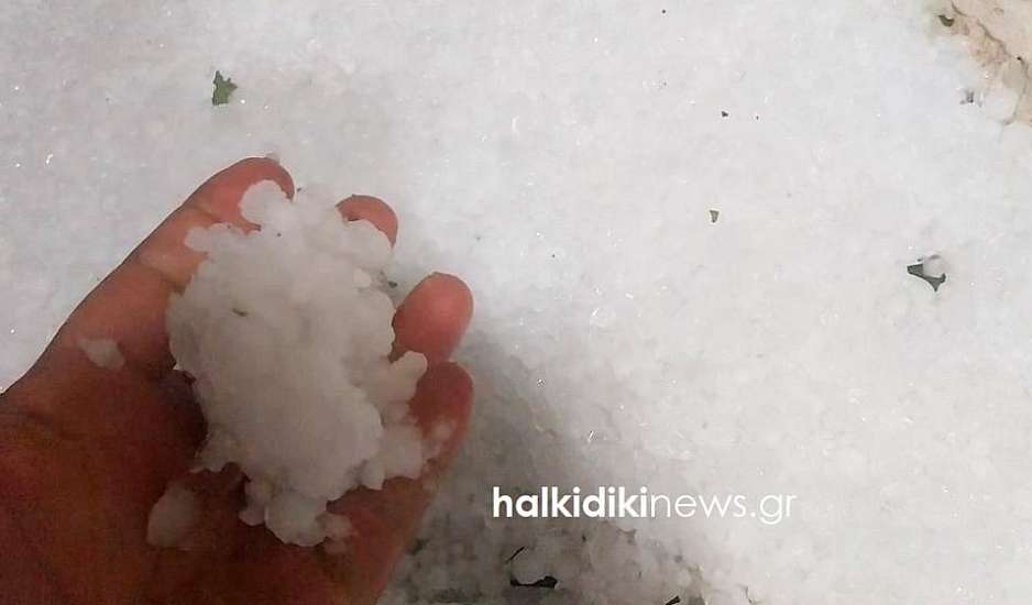 Χαλκιδική: Καταστροφές λόγω ισχυρής χαλαζόπτωσης στη Νέα Προποντίδα - Ανήσυχοι οι αγρότες