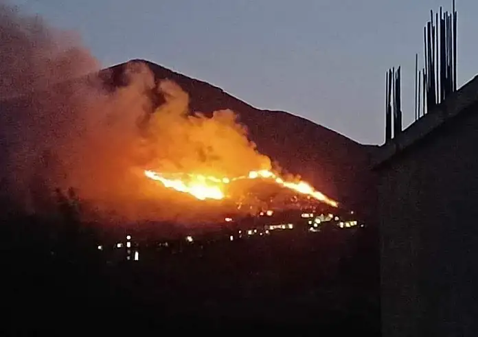 Το δάσος της Αγίας Μαρίνας στη Ζάκυνθο καιγόταν και το γλέντι συνεχίζονταν