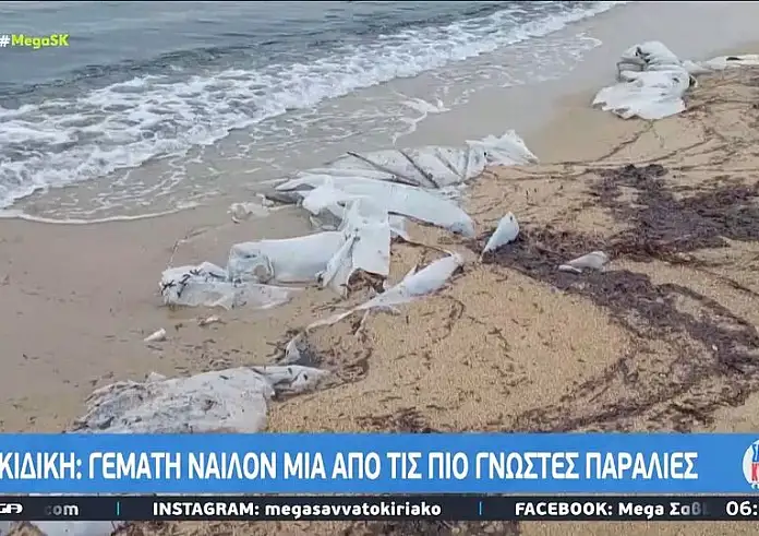 Χαλκιδική: Γεμάτη νάϊλον μια από τις πιο γνωστές παράλιες
