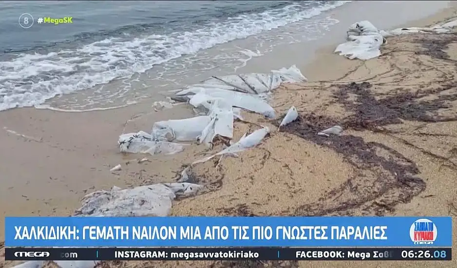 Χαλκιδική: Γεμάτη νάϊλον μια από τις πιο γνωστές παράλιες
