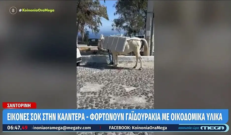Σαντορίνη: Συνεχίζονται οι εικόνες με φορτωμένα γαϊδουράκια – Κουβαλούν οικοδομικά υλικά