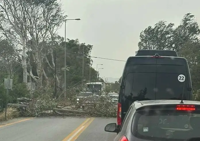 Κρήτη: Πολλά μποφόρ και συνεχείς πτώσεις δέντρων