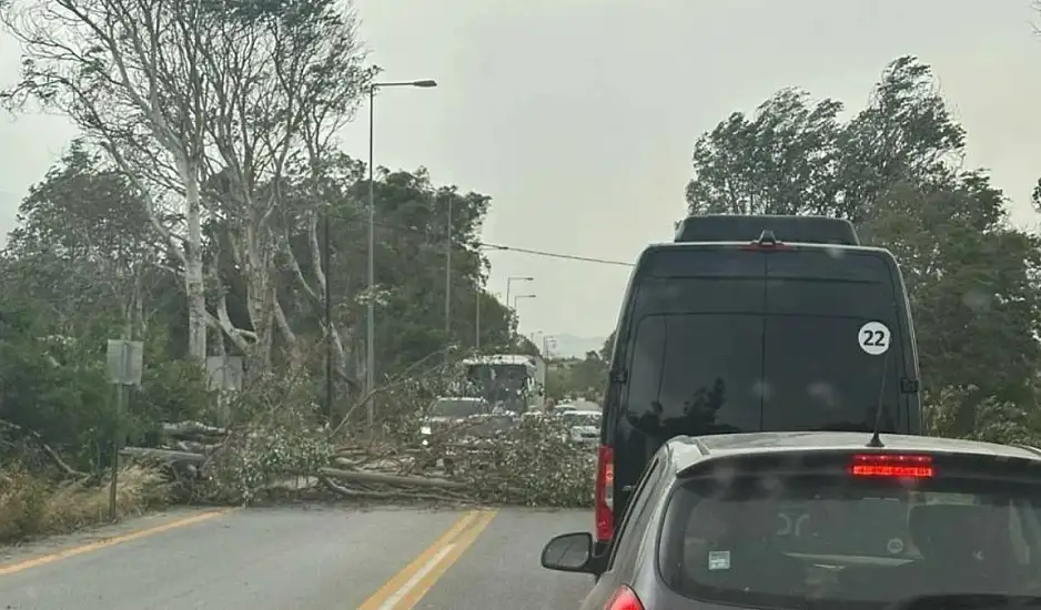 Κρήτη: Πολλά μποφόρ και συνεχείς πτώσεις δέντρων