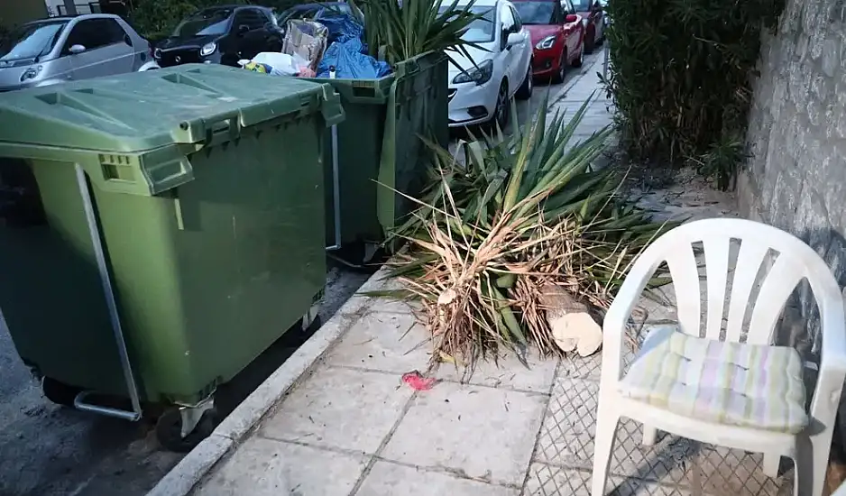 Θρίλερ με βρέφος σε κάδο απορριμμάτων στον Άλιμο: Τι εξετάζει η ΕΛ.ΑΣ. για τη μαρτυρία της γιαγιάς