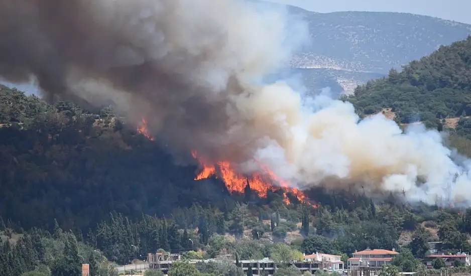Καβάλα: Μεγάλη φωτιά στην Άσπρη Άμμο – Ήχησε το 112