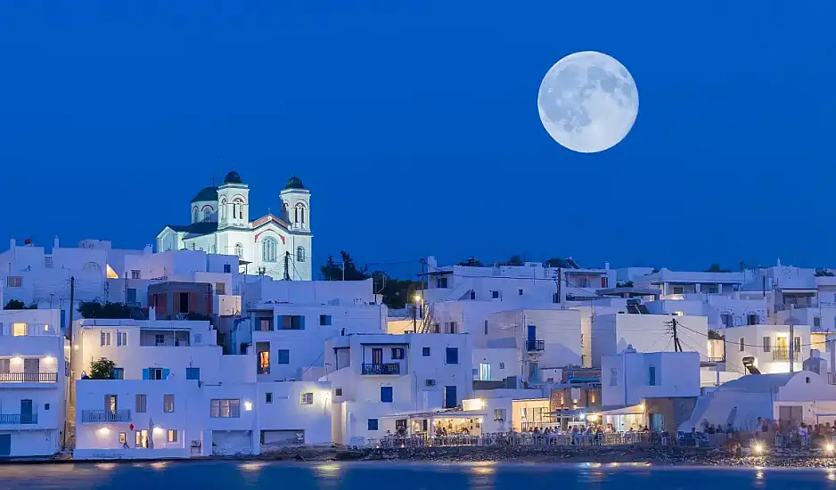 Πάρος: Γάλλος τουρίστας έσωσε γατάκι από βέβαιο πνιγμό - Βίντεο