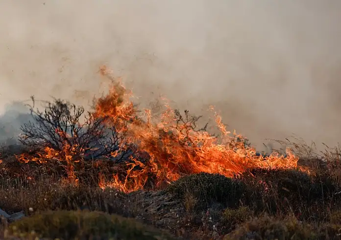 Φωτιά στη Μεσσηνία: Νέο μήνυμα από το 112 - Απομακρυνθείτε προς Σέλλας