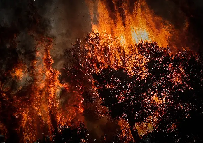 Η Μεσόγειος φλέφεται! Δείτε τις φωτιές από τους χάρτες της NASA τώρα, ζωντανά