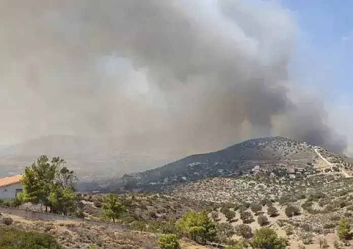 Ανατολική Αττική: Τα ποσά και η διαδικασία αποζημιώσεων για τους πληγέντες από την πυρκαγιά