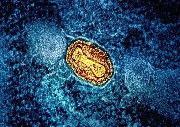Συναγερμός για την εξάπλωση του ιού Mpox στην Ευρώπη – Πώς μεταδίδεται και ποιοι κινδυνεύουν