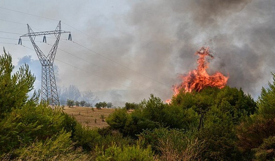 Μεγάλη φωτιά στην Ηλεία - Μάχη των πυροσβεστών για να γλιτώσουν τα σπίτια
