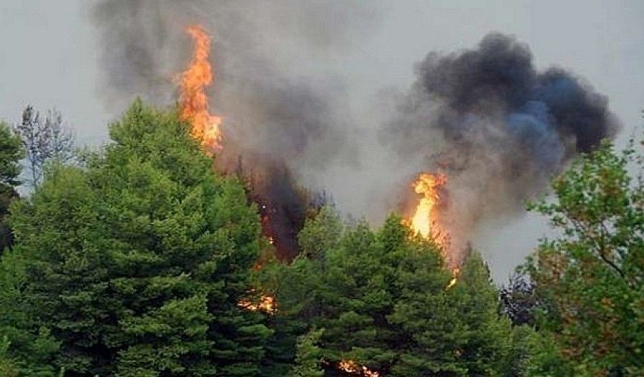 Για τέταρτη μέρα καίει η πυρκαγιά στα Γρεβενά-Δεν απειλούνται κατοικημένες περιοχές