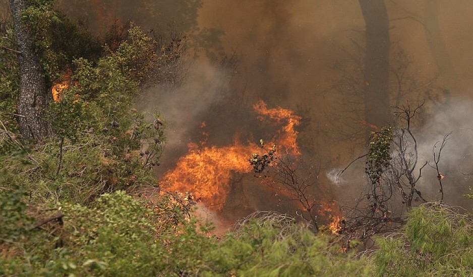 Φωτιά στη Γορτυνία: Μέσα στο χωριό οι φλόγες - Απειλούνται σπίτια