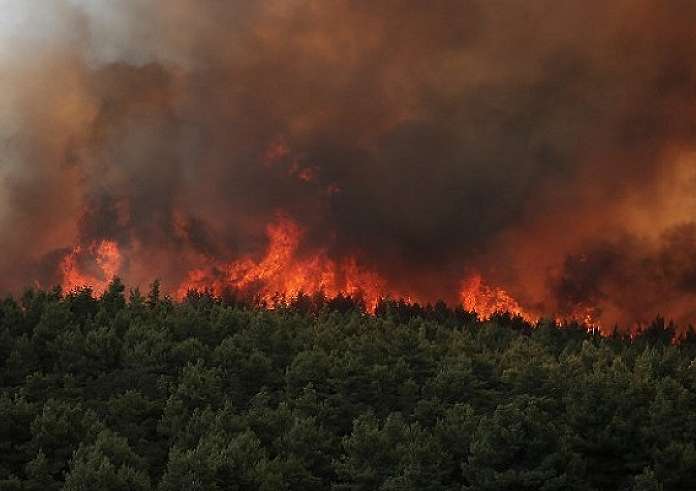 Πυρκαγιές στην Αττική: Πώς θα λάβουν ενισχύσεις 5.000 και 10.000 ευρώ οι πληγέντες – Η προθεσμία για τις αιτήσεις
