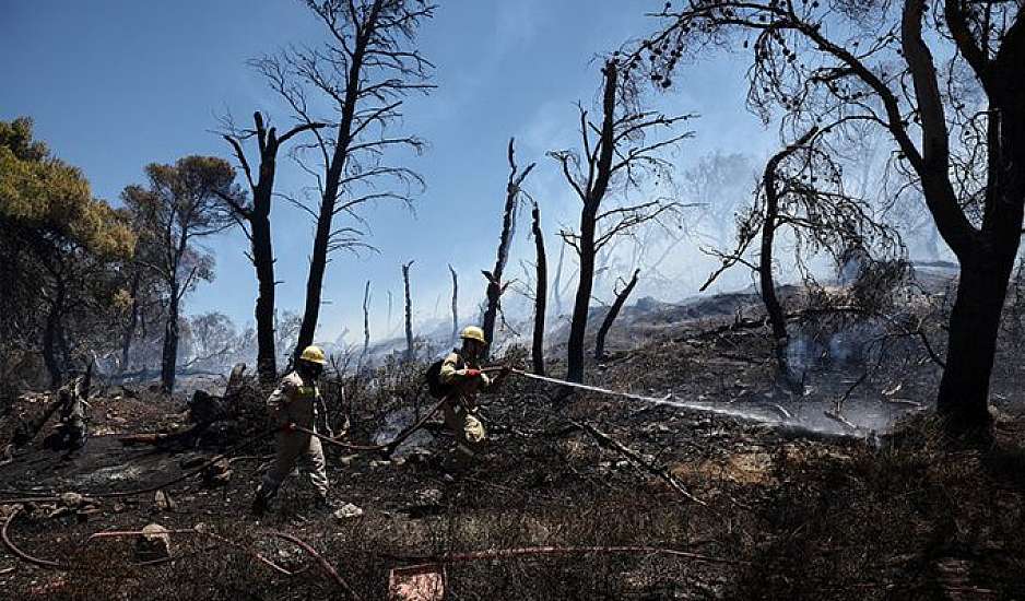 Βάρη: Σπίτια και επιχειρήσεις παραδόθηκαν στις φλόγες – Εμπρηστής καταγράφηκε σε βίντεο να βάζει φωτιά