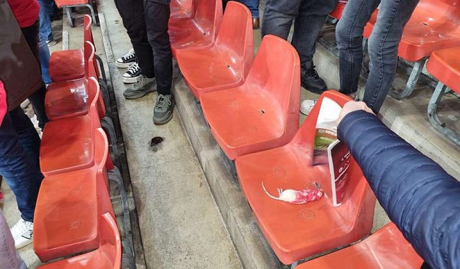Η κατάσταση ξέφυγε σε ποδοσφαιρικό ντέρμπι: Οπαδοί πέταξαν νεκρά ποντίκια στους αντιπάλους τους
