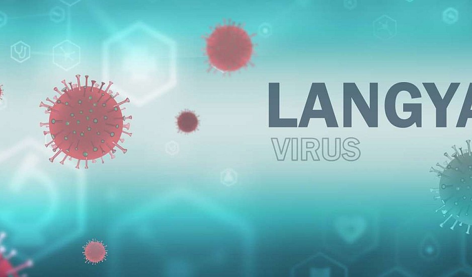 Langya: Έκτακτη ανακοίνωση από τον ΕΟΔΥ - Τι αναφέρει για τον νέο ιό