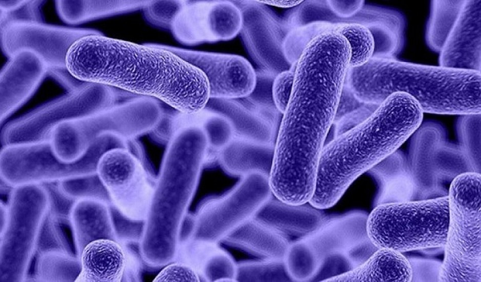 Υπερανθεκτικό βακτήριο κρύβεται στις επιφάνειες του σπιτιού