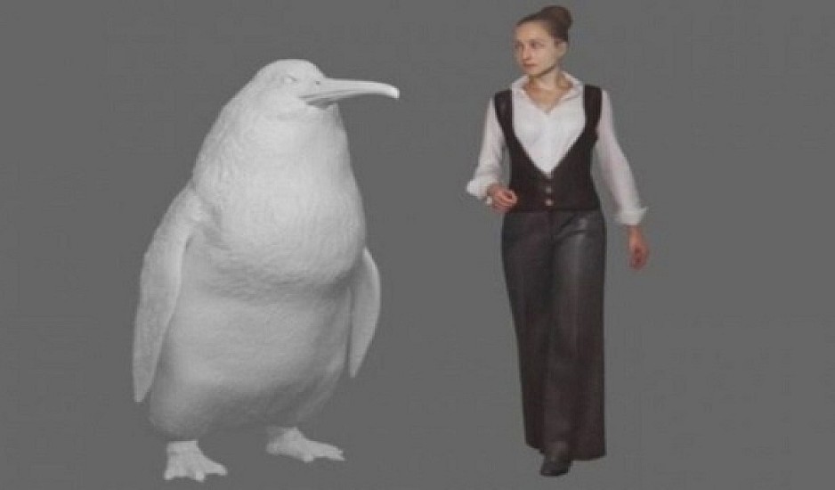 Ανακαλύφθηκε νέο είδος προϊστορικού πιγκουίνου με μέγεθος ανθρώπου