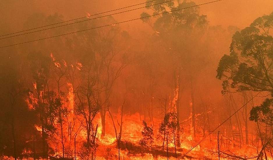 Εκπομπές δισεκατομμυρίων τόνων CO2 προκάλεσαν οι πυρκαγιές του 2023