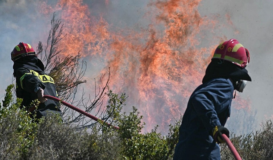 Άργος: Λήστεψαν πυροσβέστες που έδιναν μάχη με την φωτιά