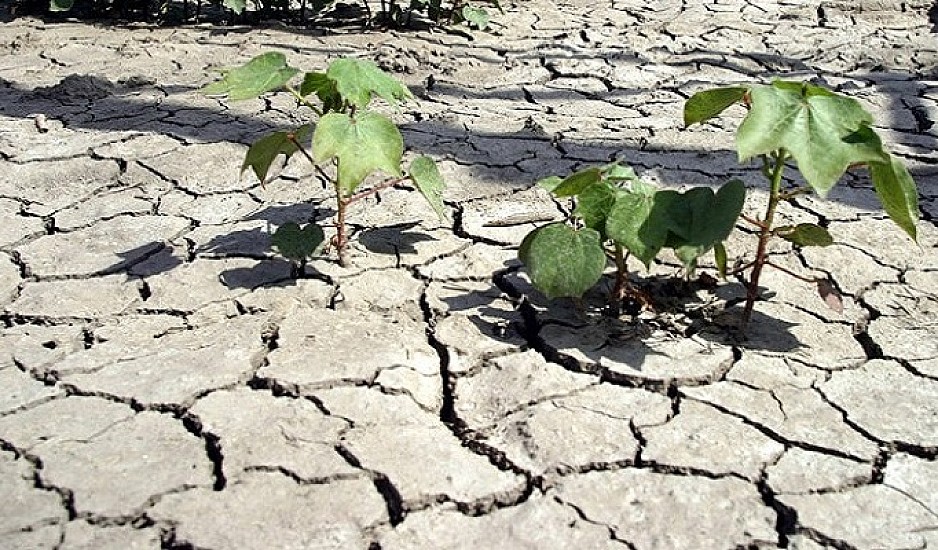 Κλιματική αλλαγή: Η ξηρασία απειλεί την Ευρώπη