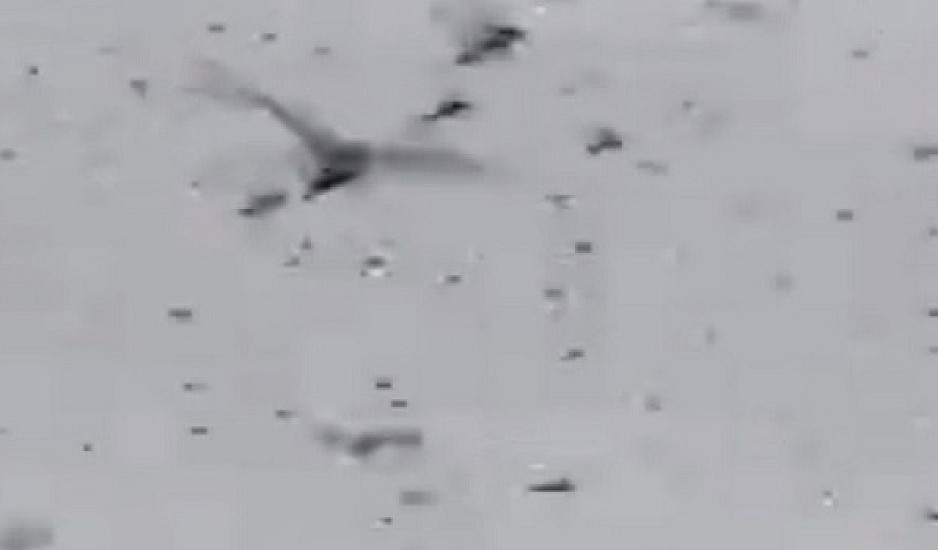 Βίντεο σοκ: Επιδρομή από ακρίδες στο Λας Βέγκας